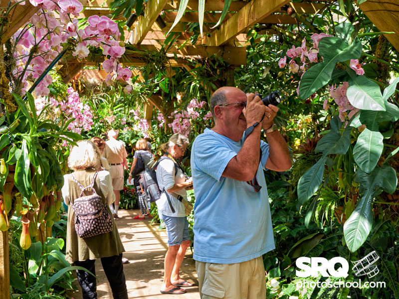 marie selby botanical gardens photographic workshops
