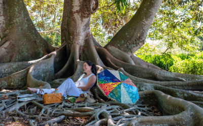 Boca Grand Camera Club at Marie Selby Gardens