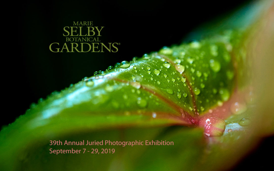 Selby Gardens 39th Annual Juried Photographic Exhibition