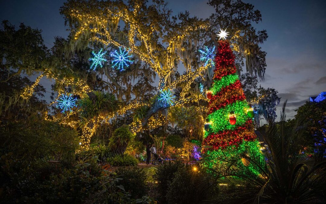 Lights in Bloom at Selby Gardens