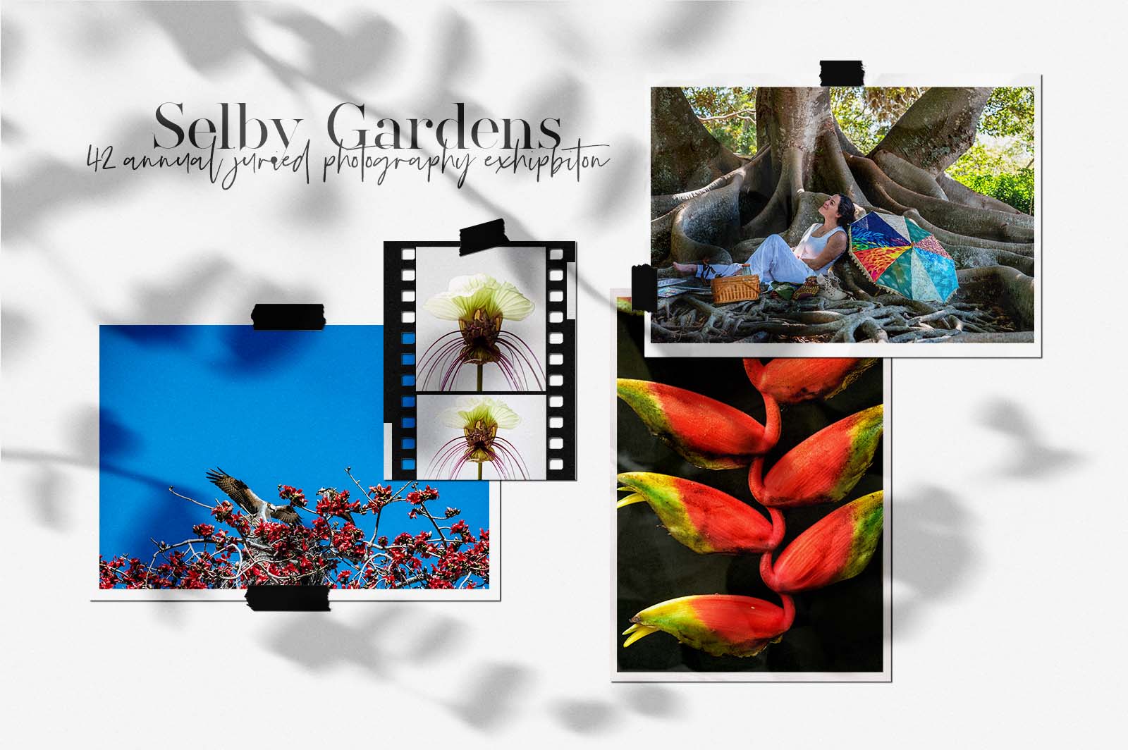 Selby Gardens 42nd Annual Juried Photography Exhibition