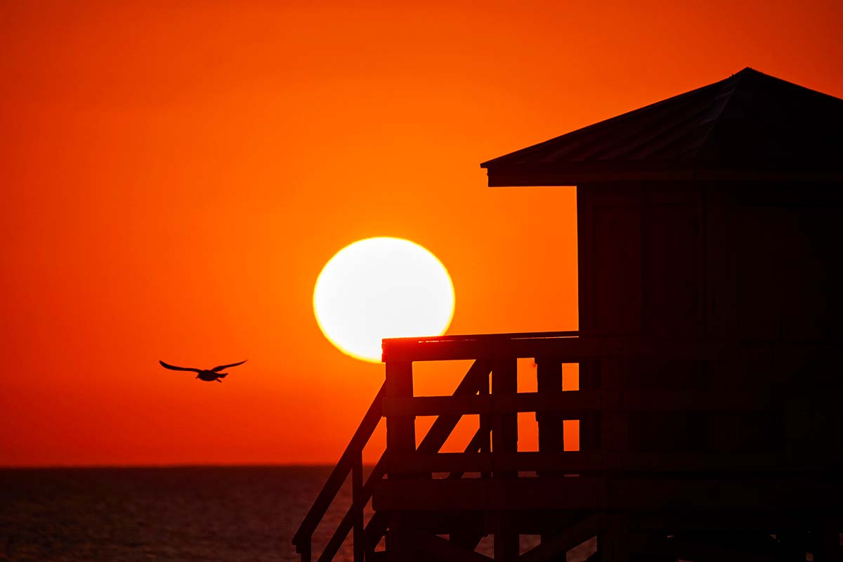 siesta key beach photography workshops