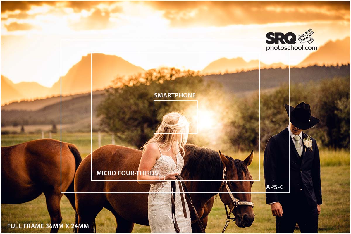 camera sensor size comparison